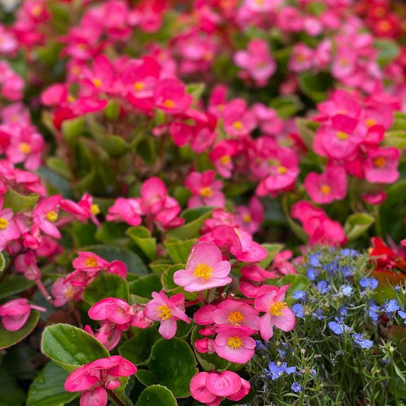 Meet your Posher, Brea!✨ - Picture 2 of 11